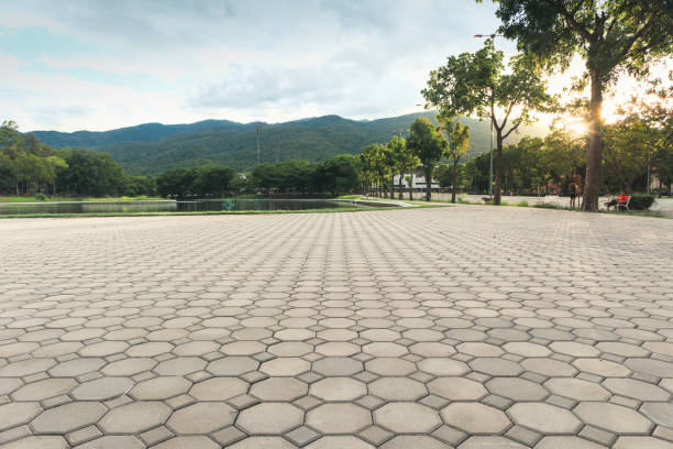 Best Residential Driveway Paver Services  in Albion, NY